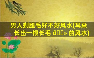 男人剃腿毛好不好风水(耳朵长出一根长毛 🌻 的风水)